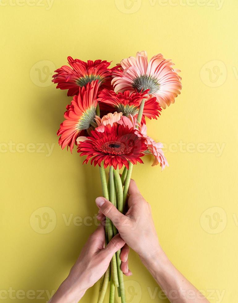 Ramo de margaritas gerbera rosa y roja sobre fondo verde foto