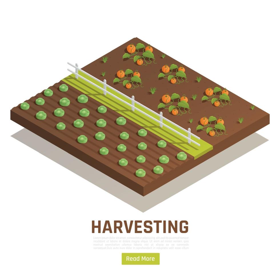 Farming Harvesting Isometric Composition vector