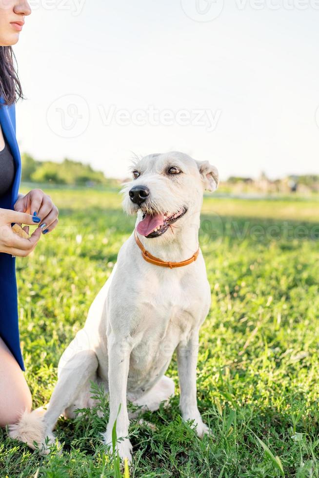 Hermosa joven sentada en la hierba abrazando a su perro en el parque foto