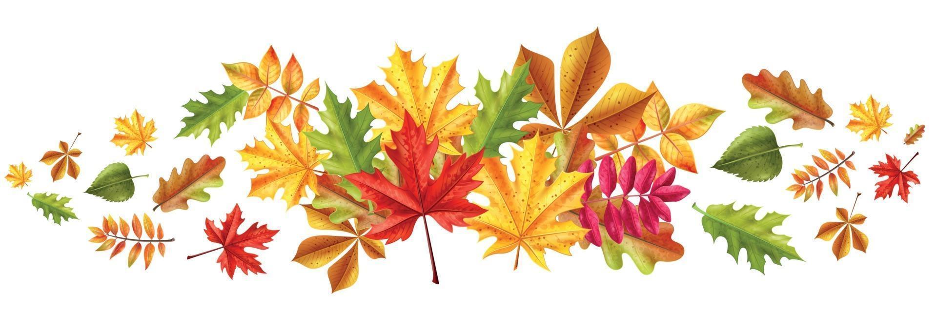 Fall Leaves Realistic Composition vector