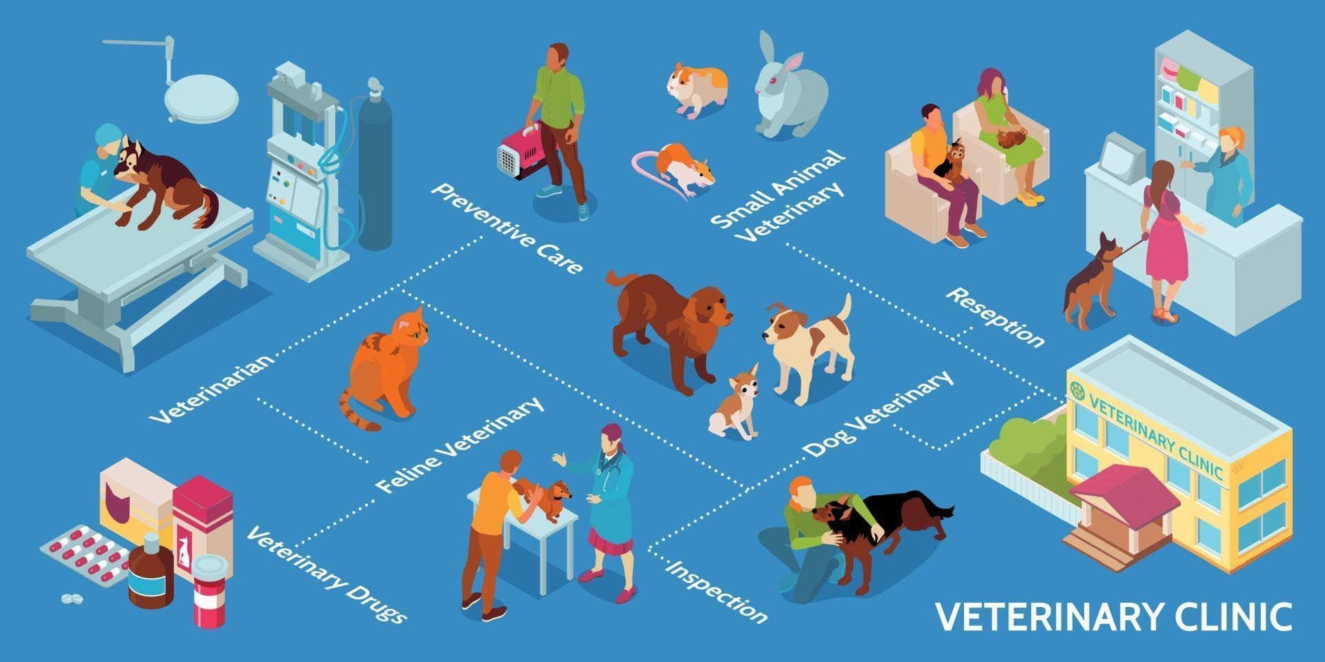 infografía veterinaria isométrica vector