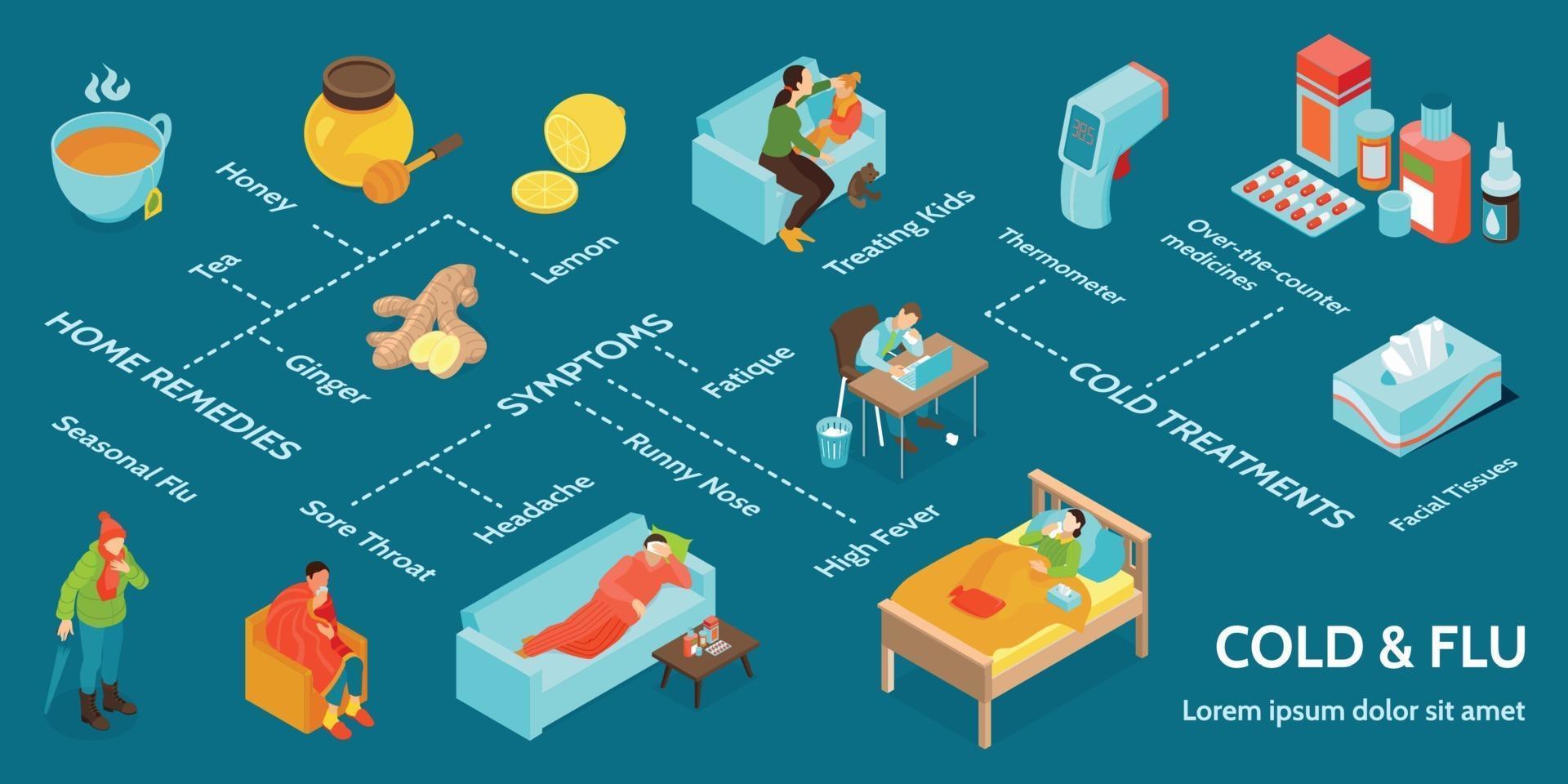 Isometric Cold Flu Virus Infographic vector