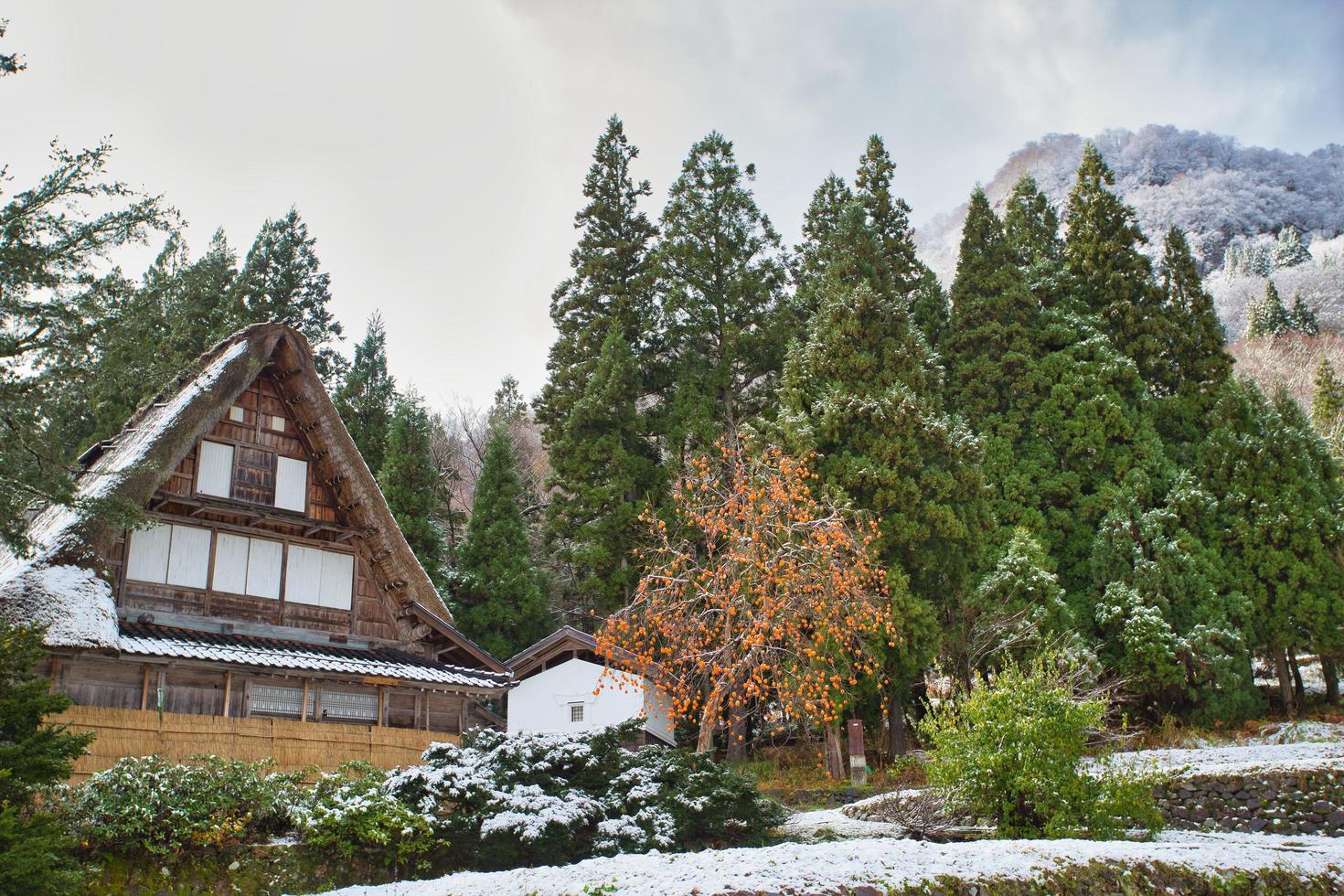 Gokayama area within the city of Nanto in Toyama Prefecture, Japan photo