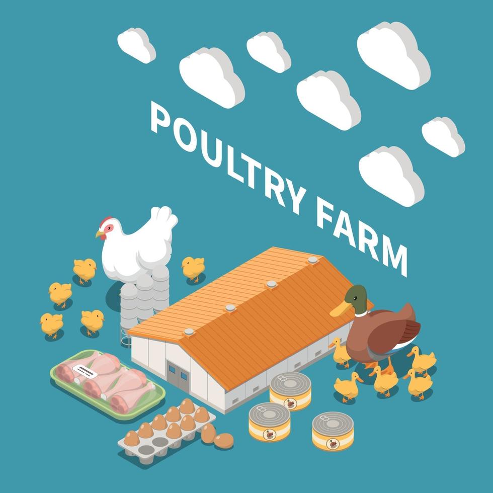 Poultry Farm Isometric Composition vector