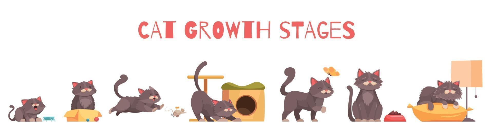 composición de las etapas de crecimiento del gato vector