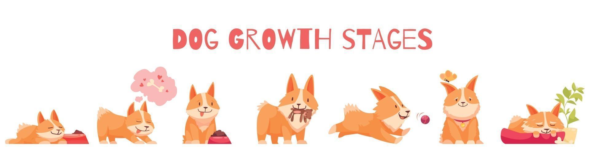 Dog Growth Stages Composition vector