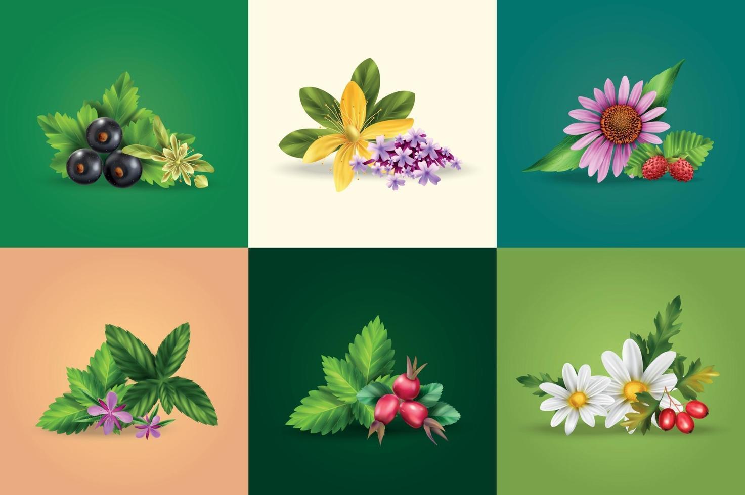 Herbal Tea Design Concept vector
