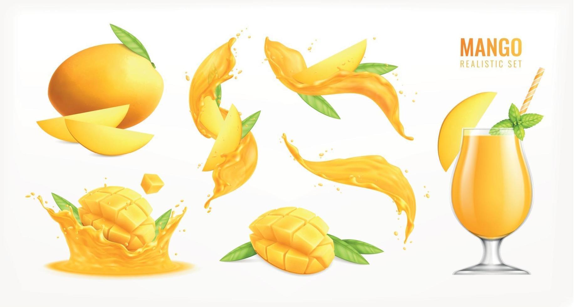 Mango Realistic Set vector