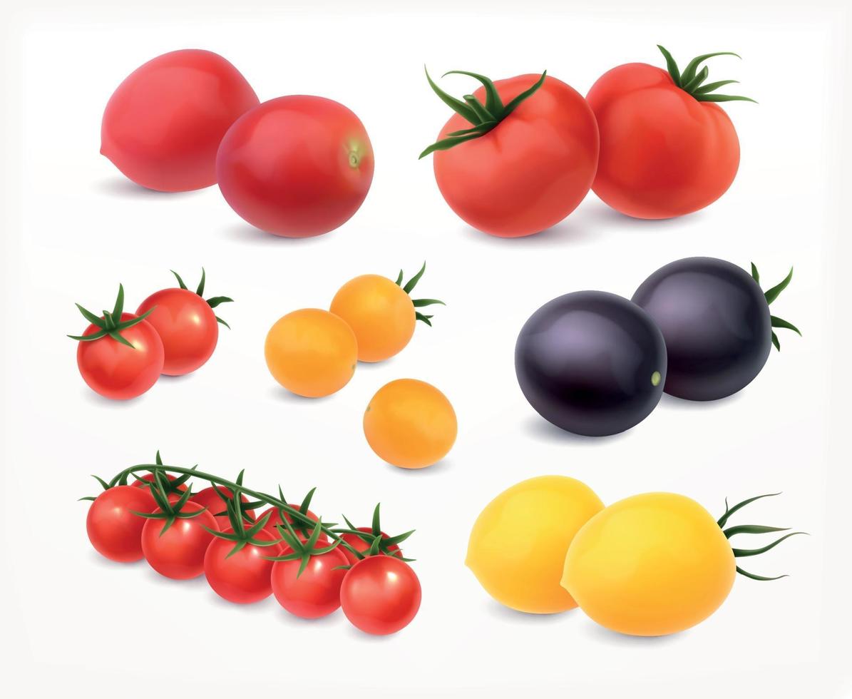 Tomatoes Realistic Set vector