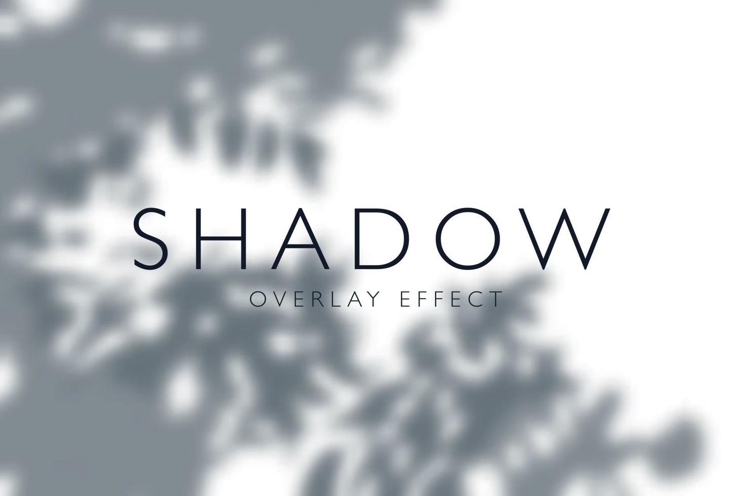 Realistic Shadow Background vector