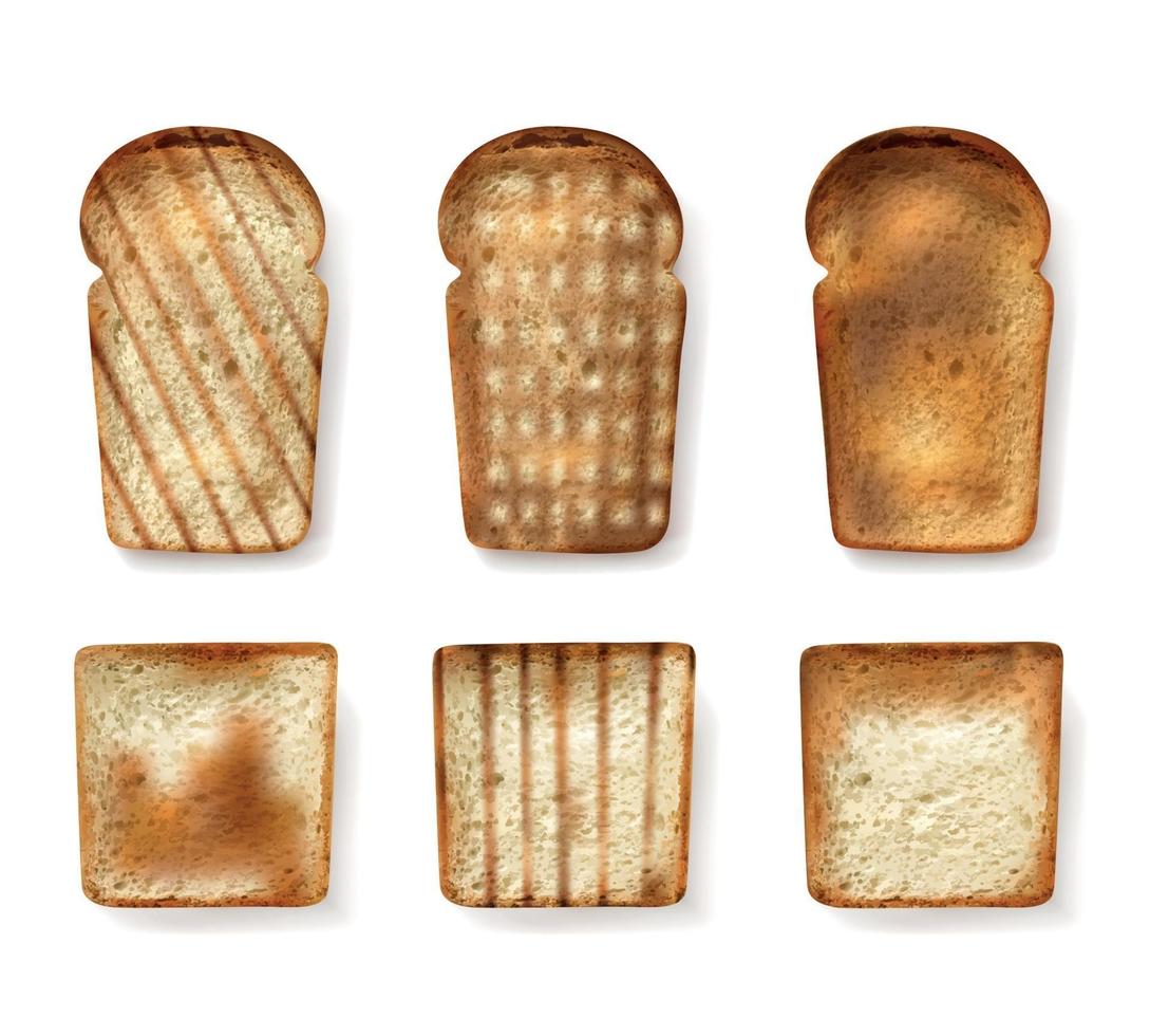 Different Bread Types Set vector