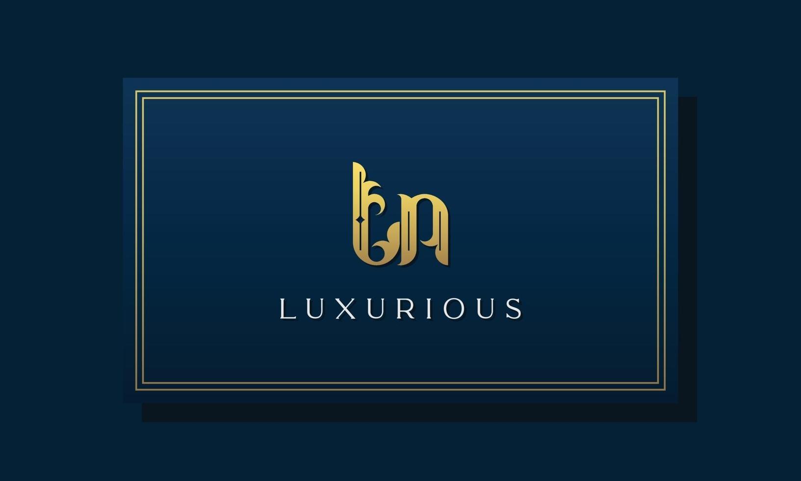 Vintage royal initial letters TN logo. vector