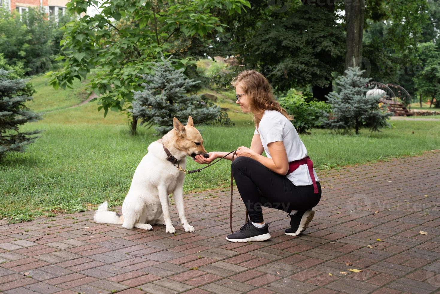 Mujer joven entrenando a su perro en un parque foto