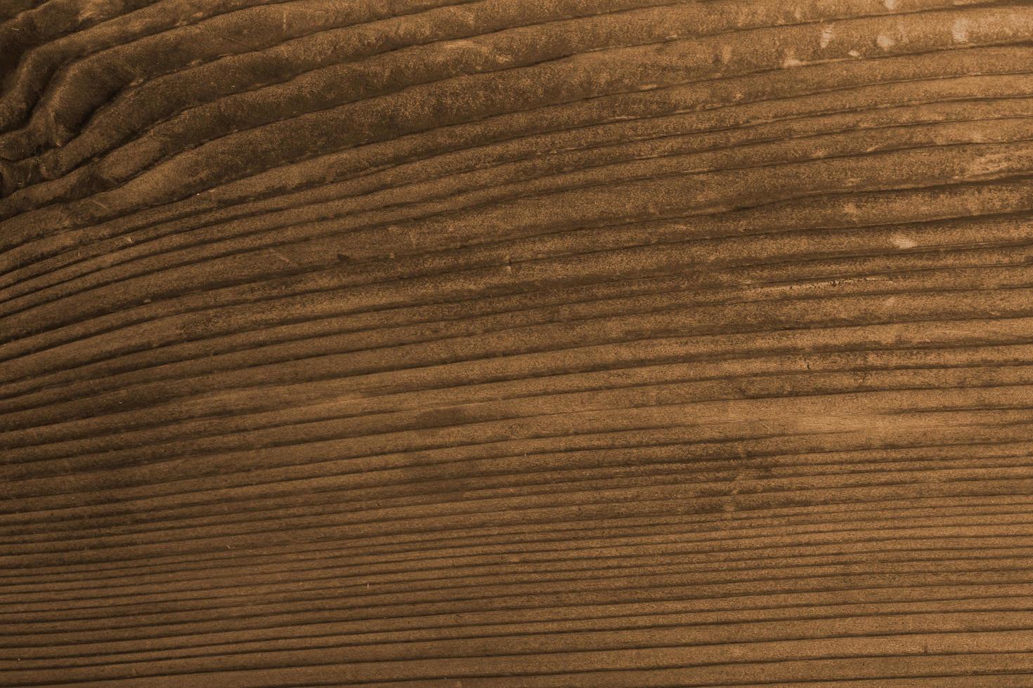 textura de madera vieja foto