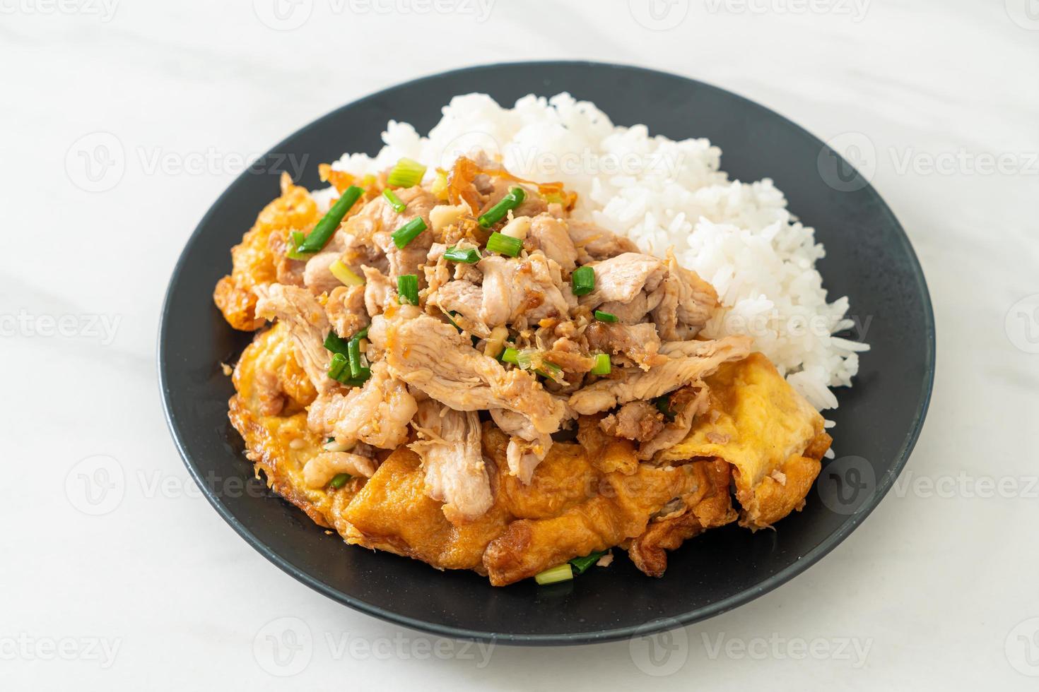 Stir-fried pork with rice photo