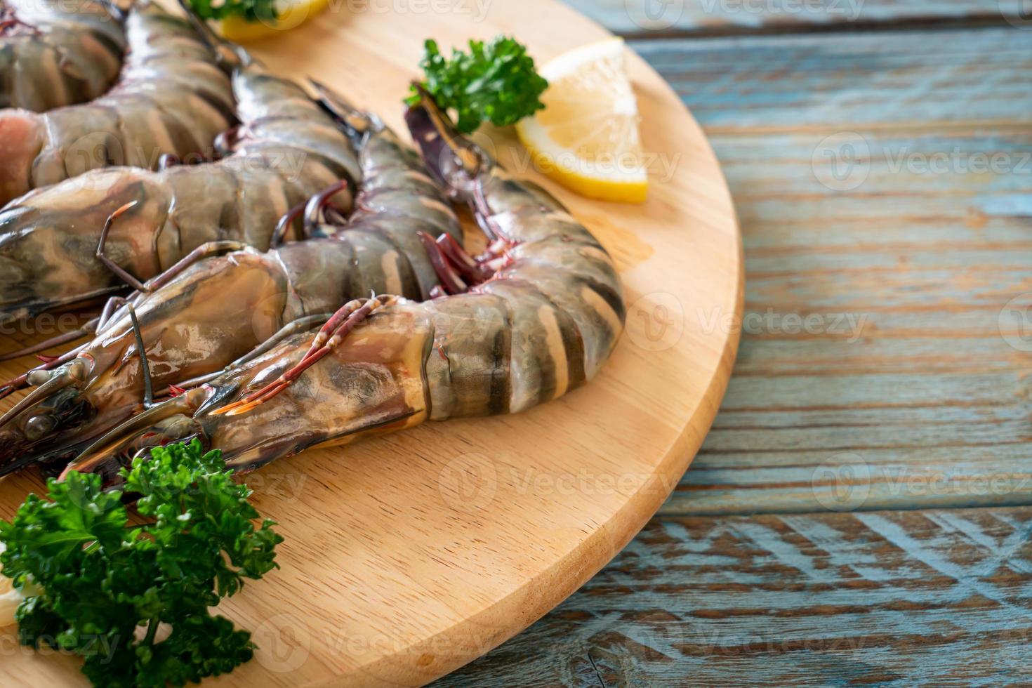 Fresh tiger prawn or shrimp photo