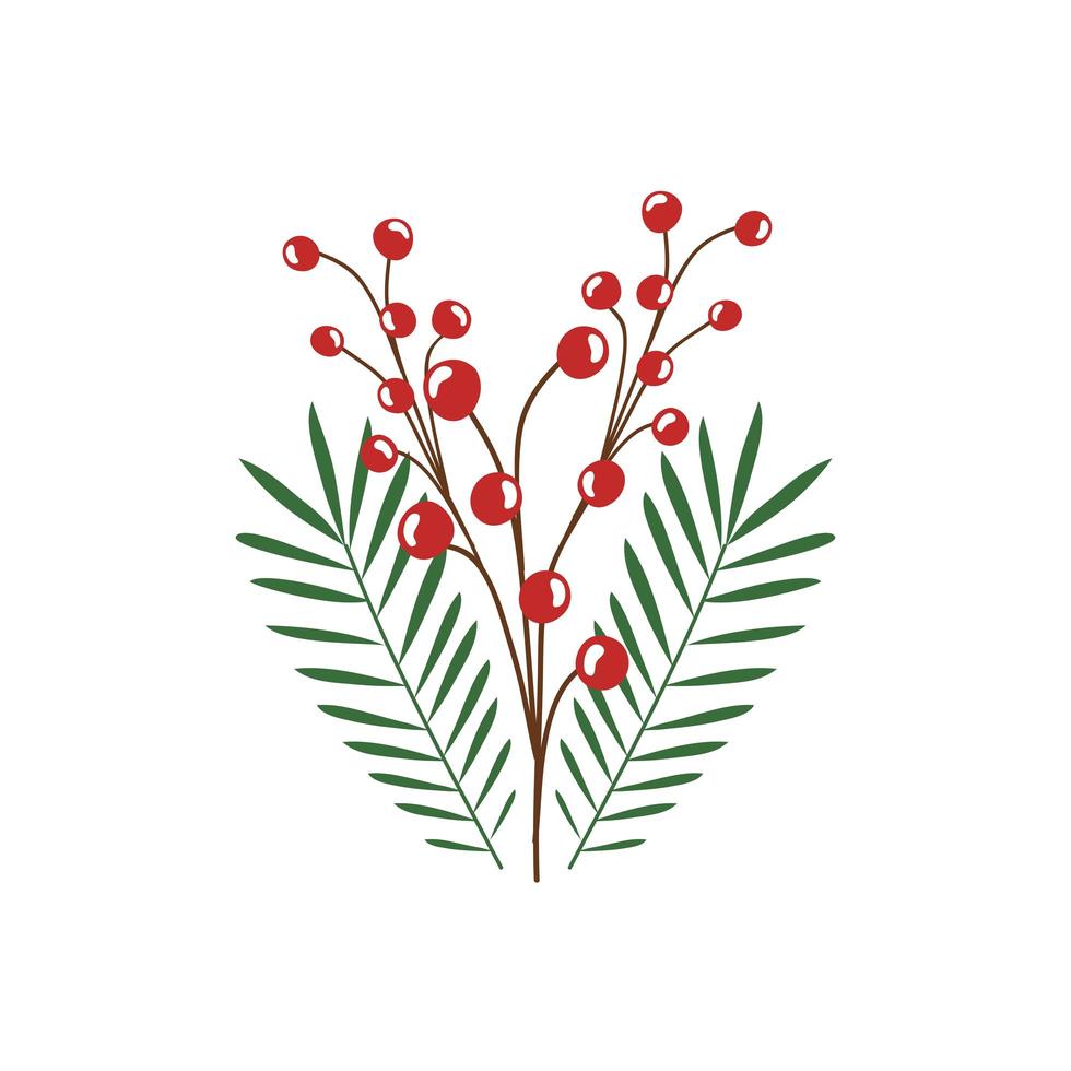 rama con hojas y semillas icono aislado vector