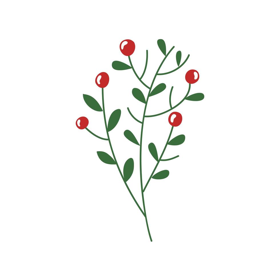 branches with leafs and seeds isolated icon vector