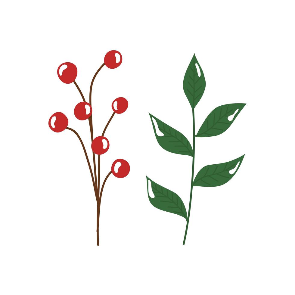branches with leafs and seeds isolated icon vector