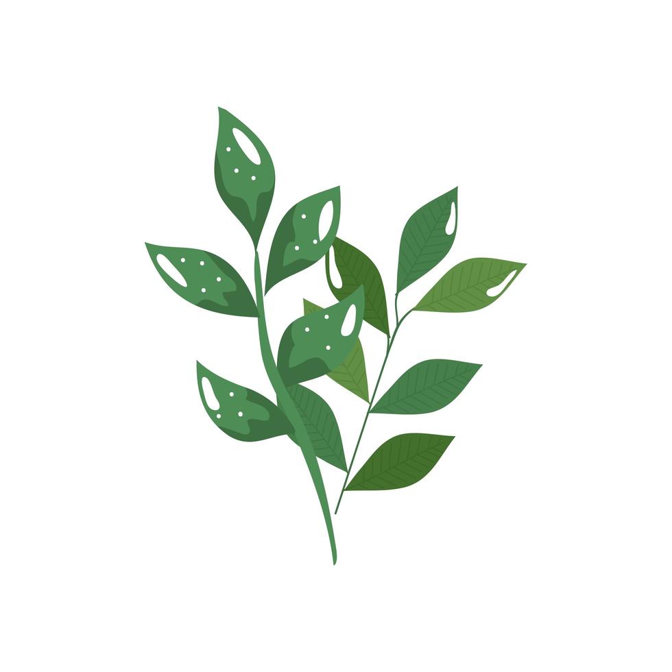 branches with leafs nature ecology isolated icon vector