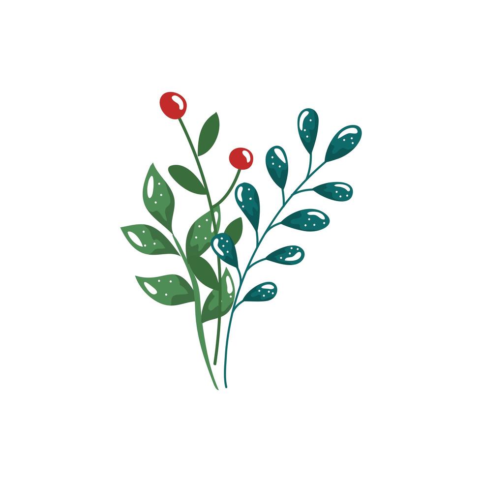 branches with leafs and seeds isolated icon vector