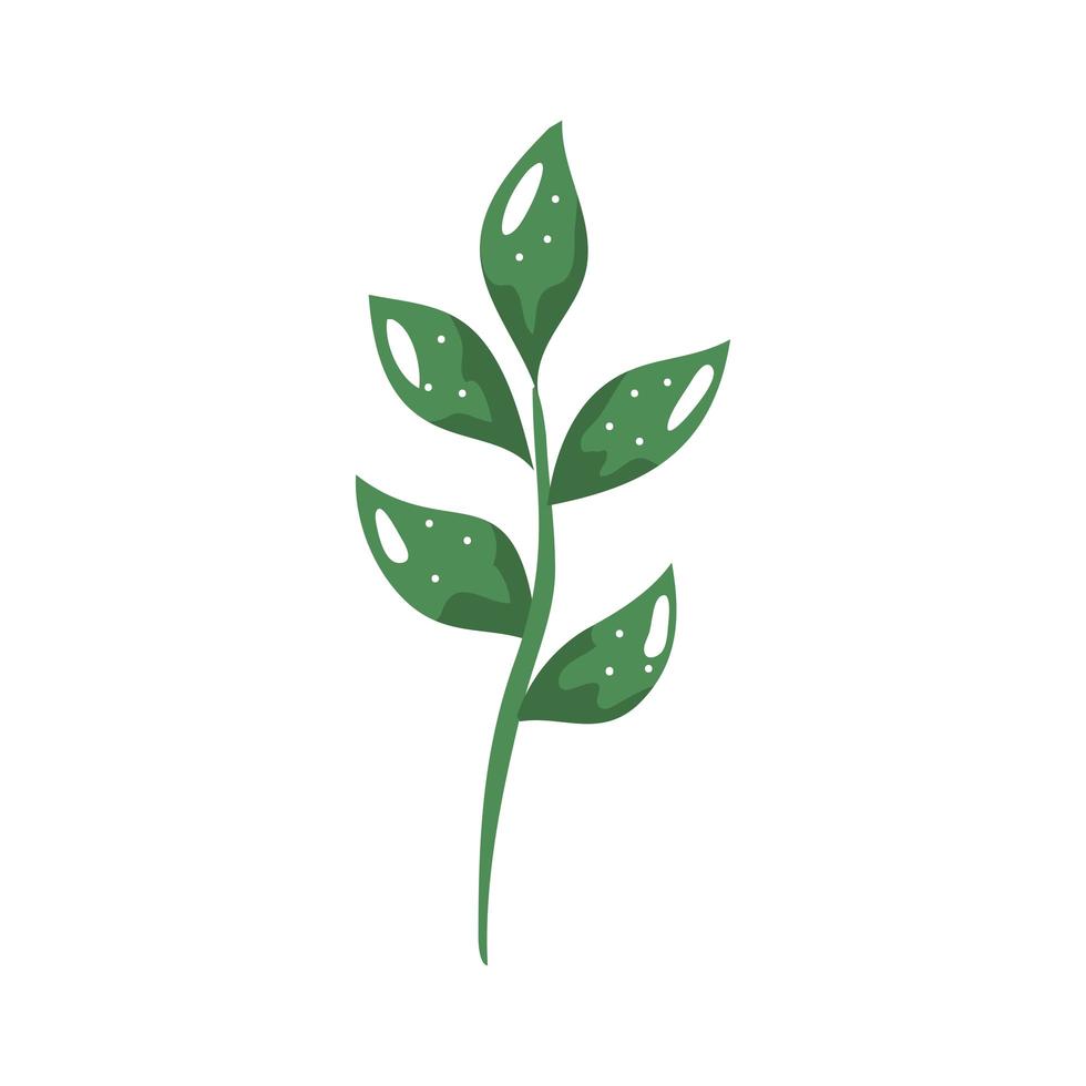 branch with leafs nature ecology isolated icon vector