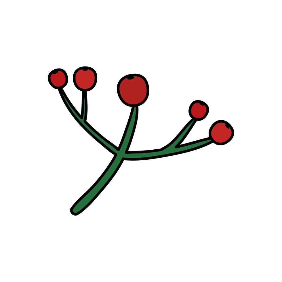 Rama con frutas de acebo icono aislado tradicional de Navidad vector