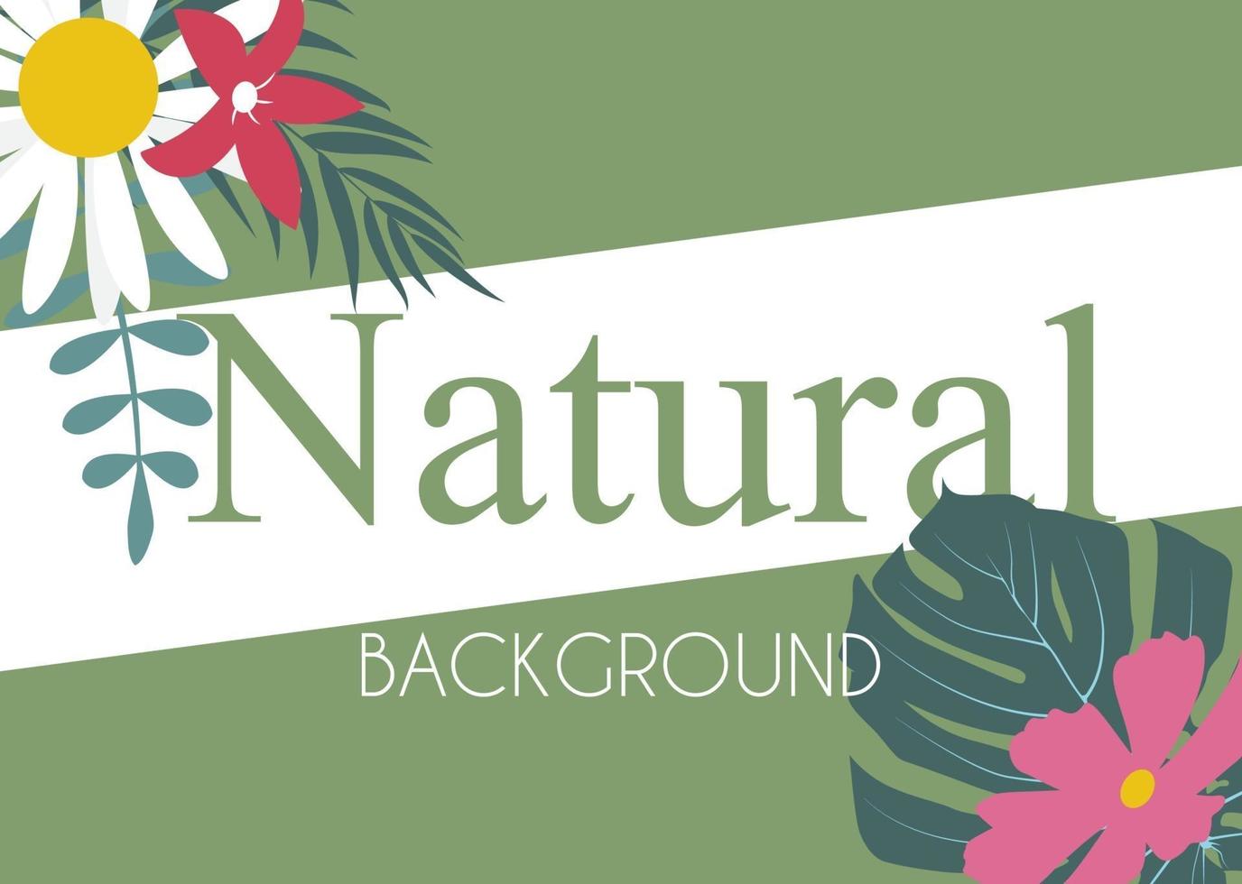 Beautifil Palm Tree Leaf  Silhouette Background Vector Illustration