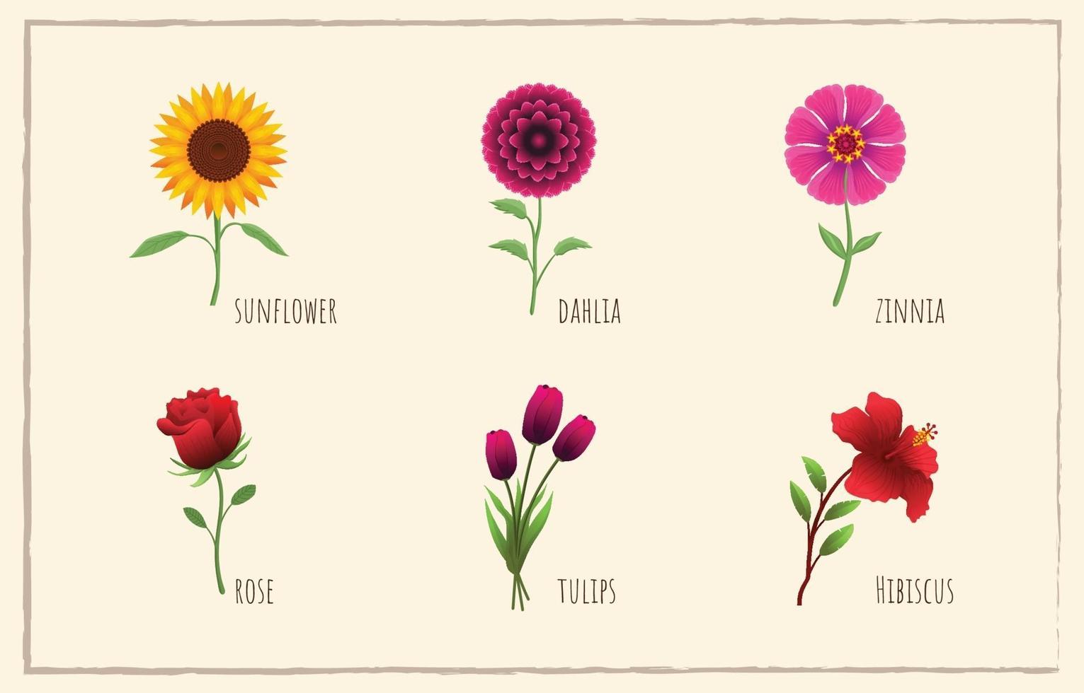 Flower Element Set vector