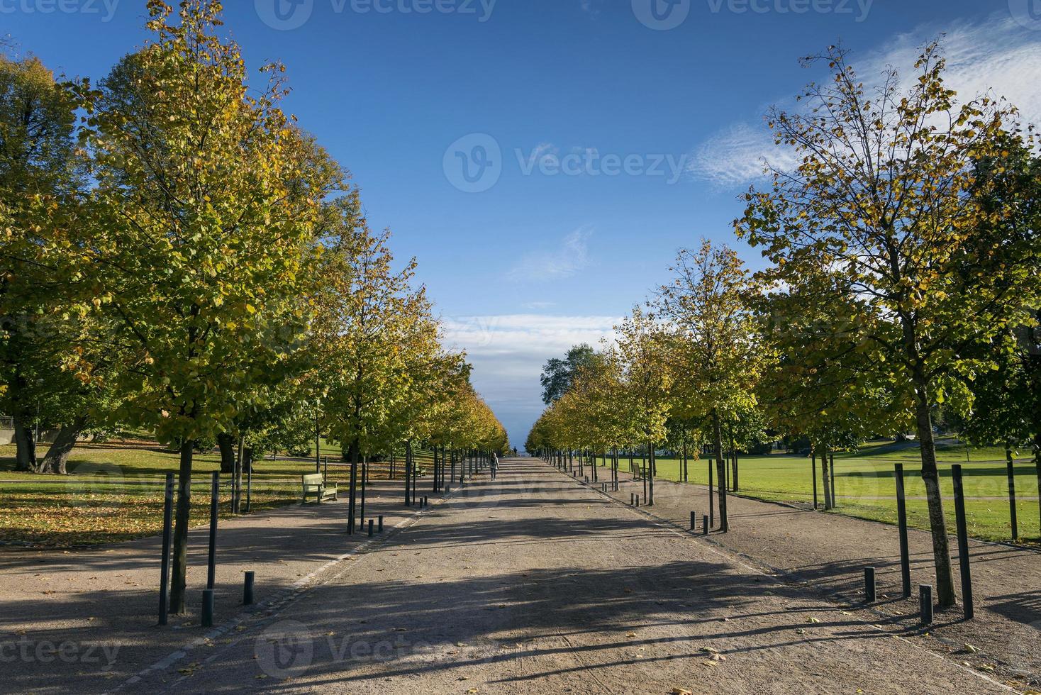 Kaivopuisto City urban park in Helsinki Finland on sunny day photo