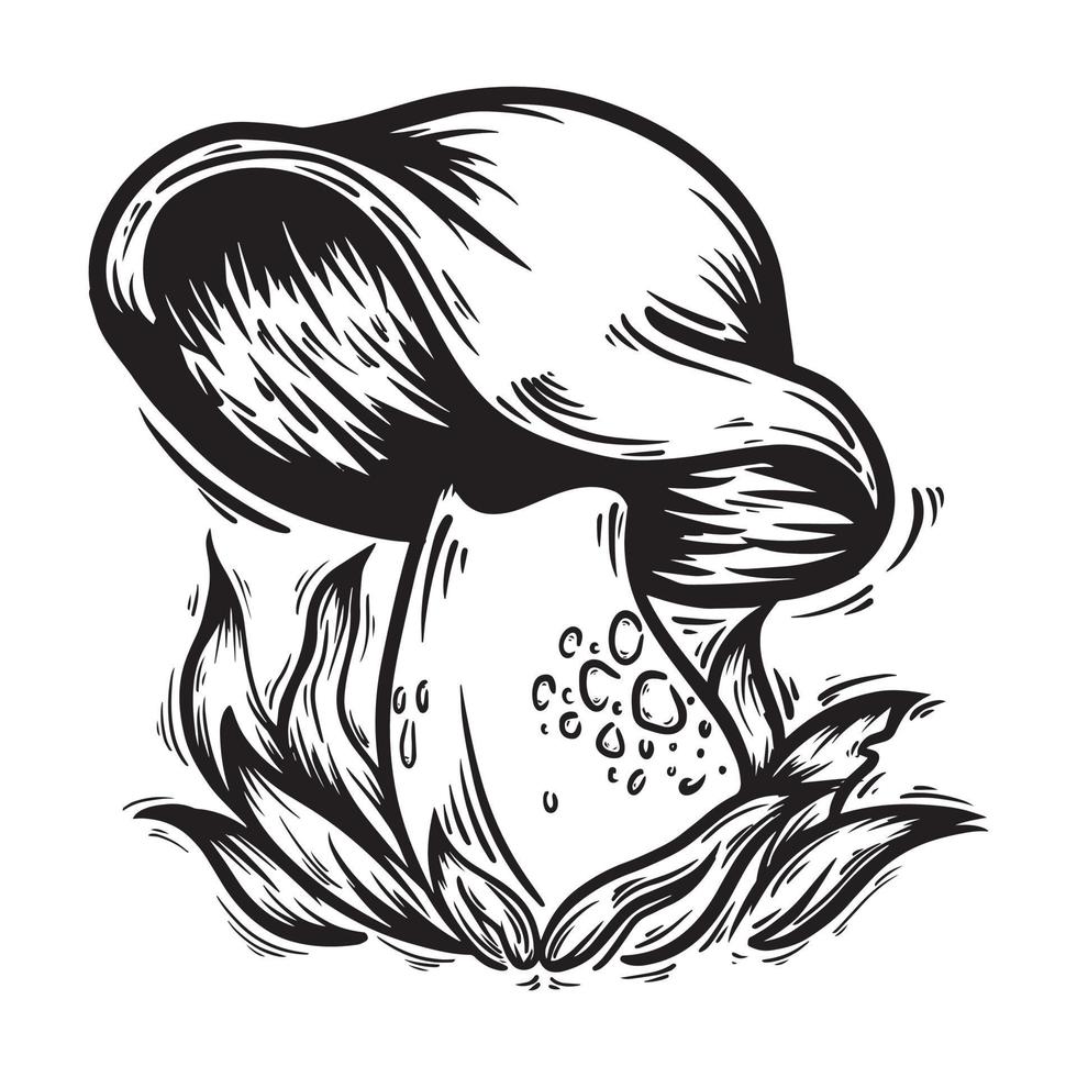 mushroom black and white vector illustration