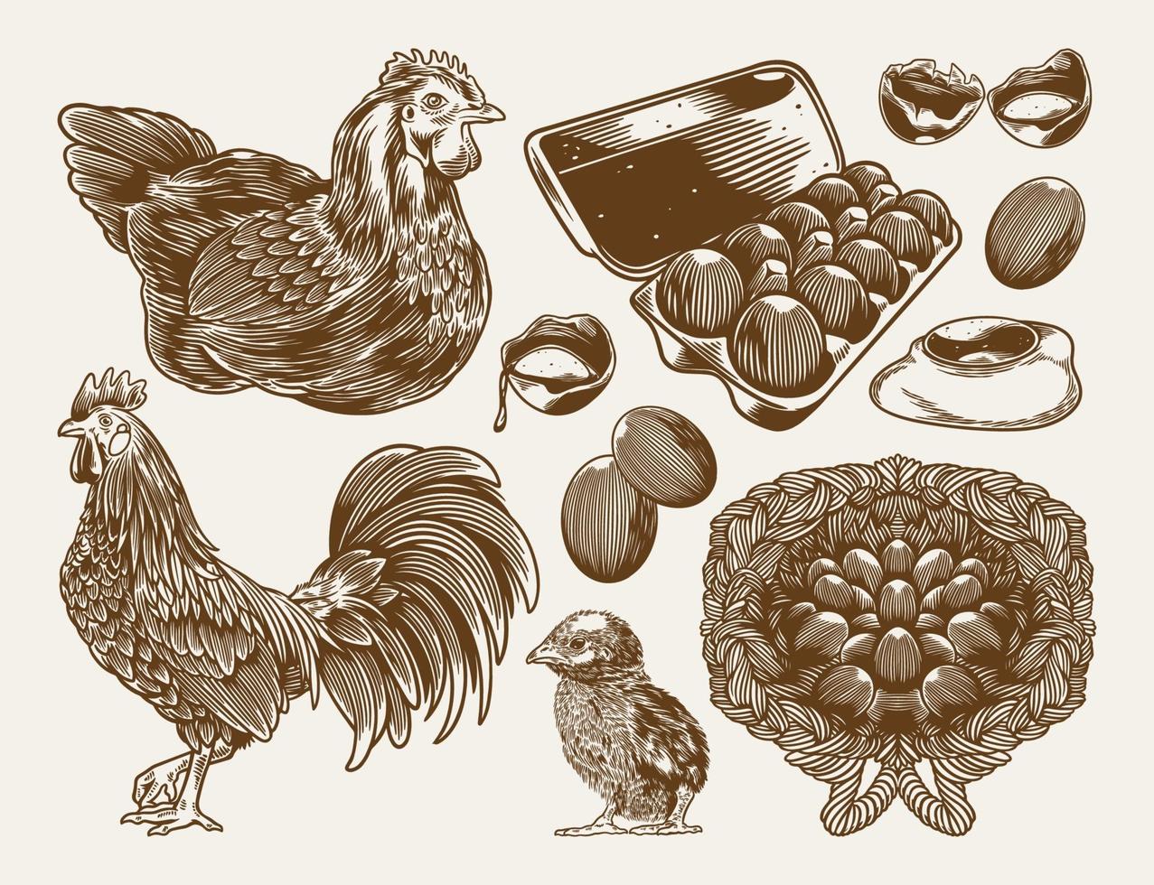 Granja de pollos colección de grabado vintage con elementos agrícolas vector