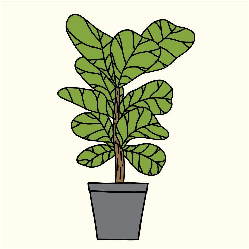 Doodle freehand sketch drawing of fiddle leaf fig tree. vector