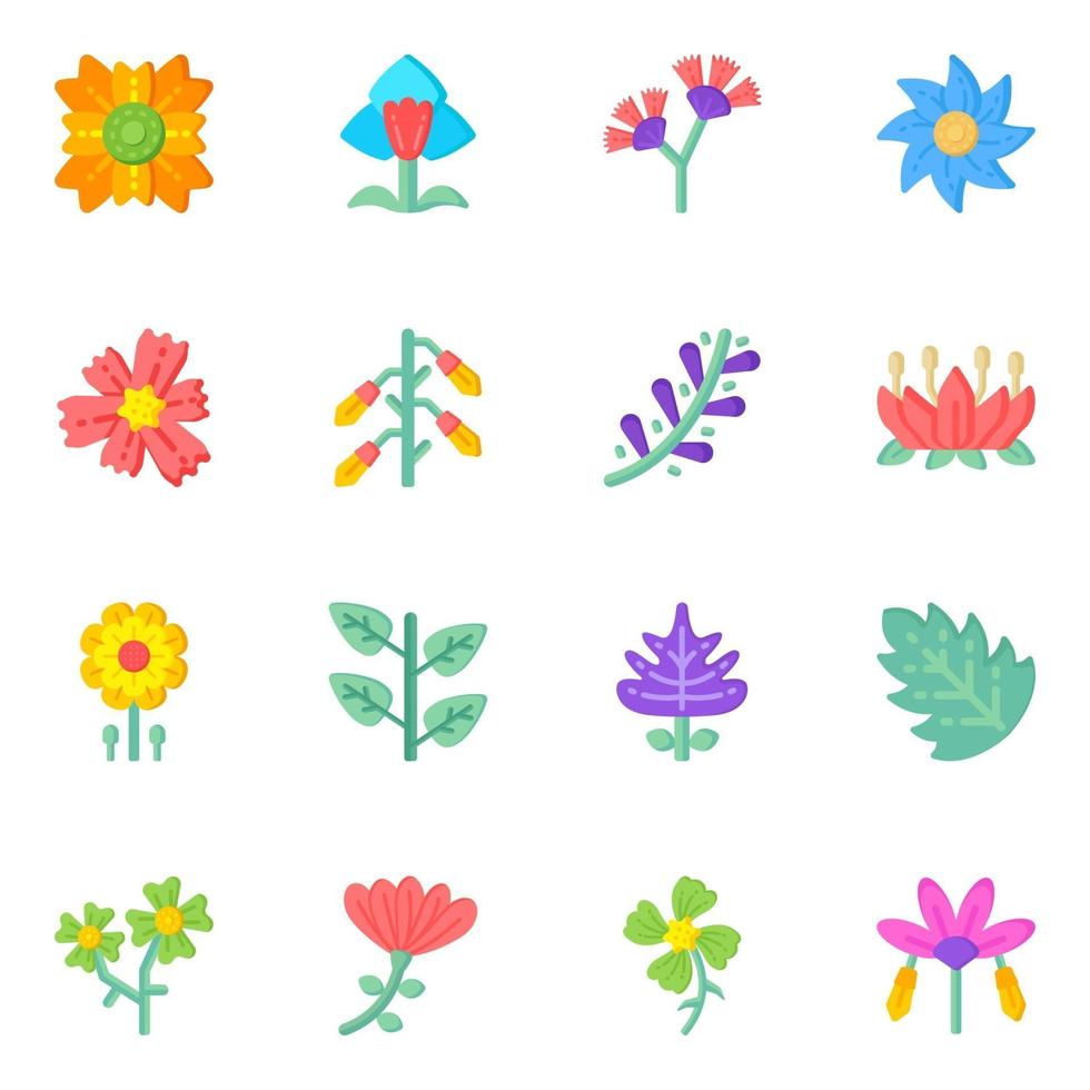 Set of Floral Designs vector