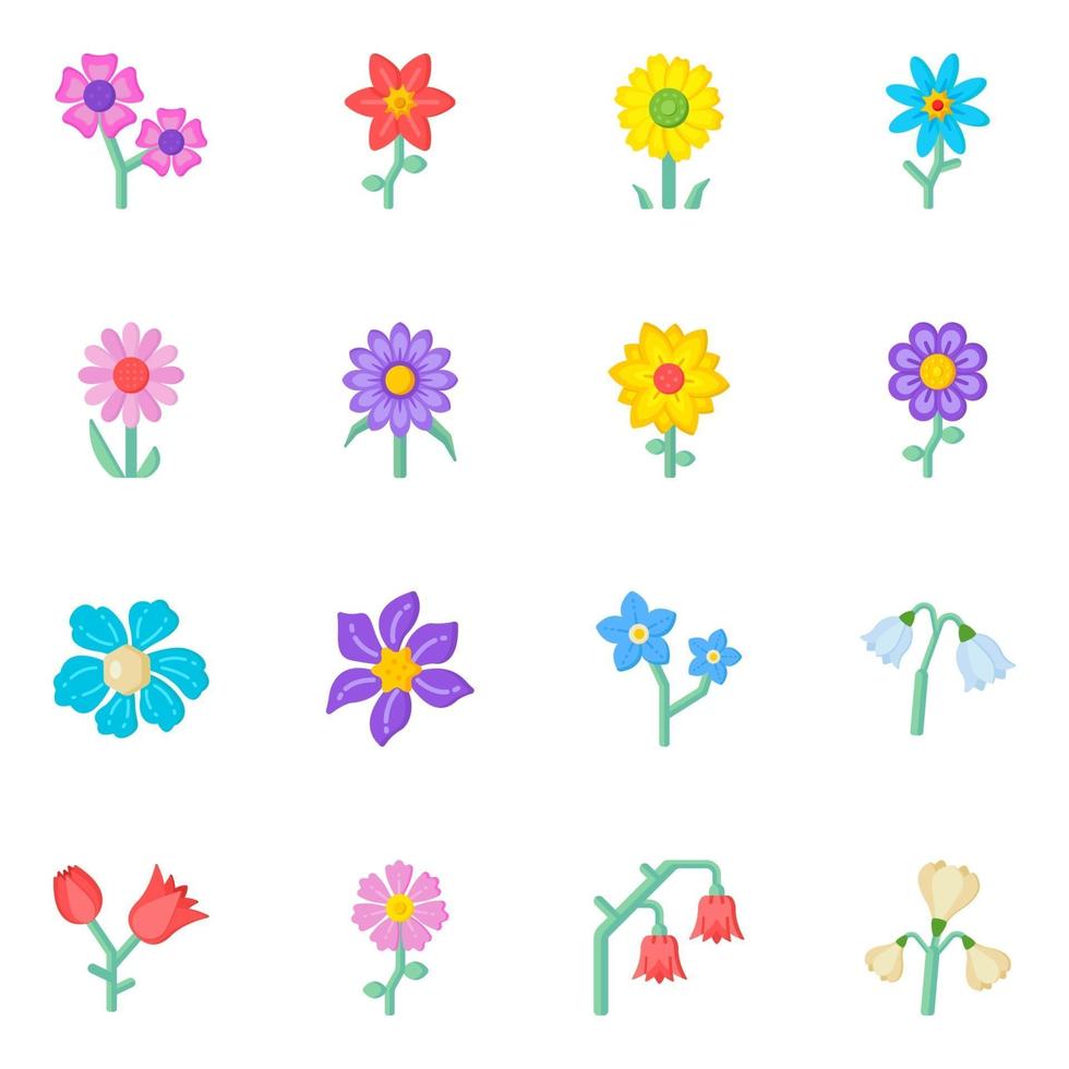 Modern Set of Flowers vector