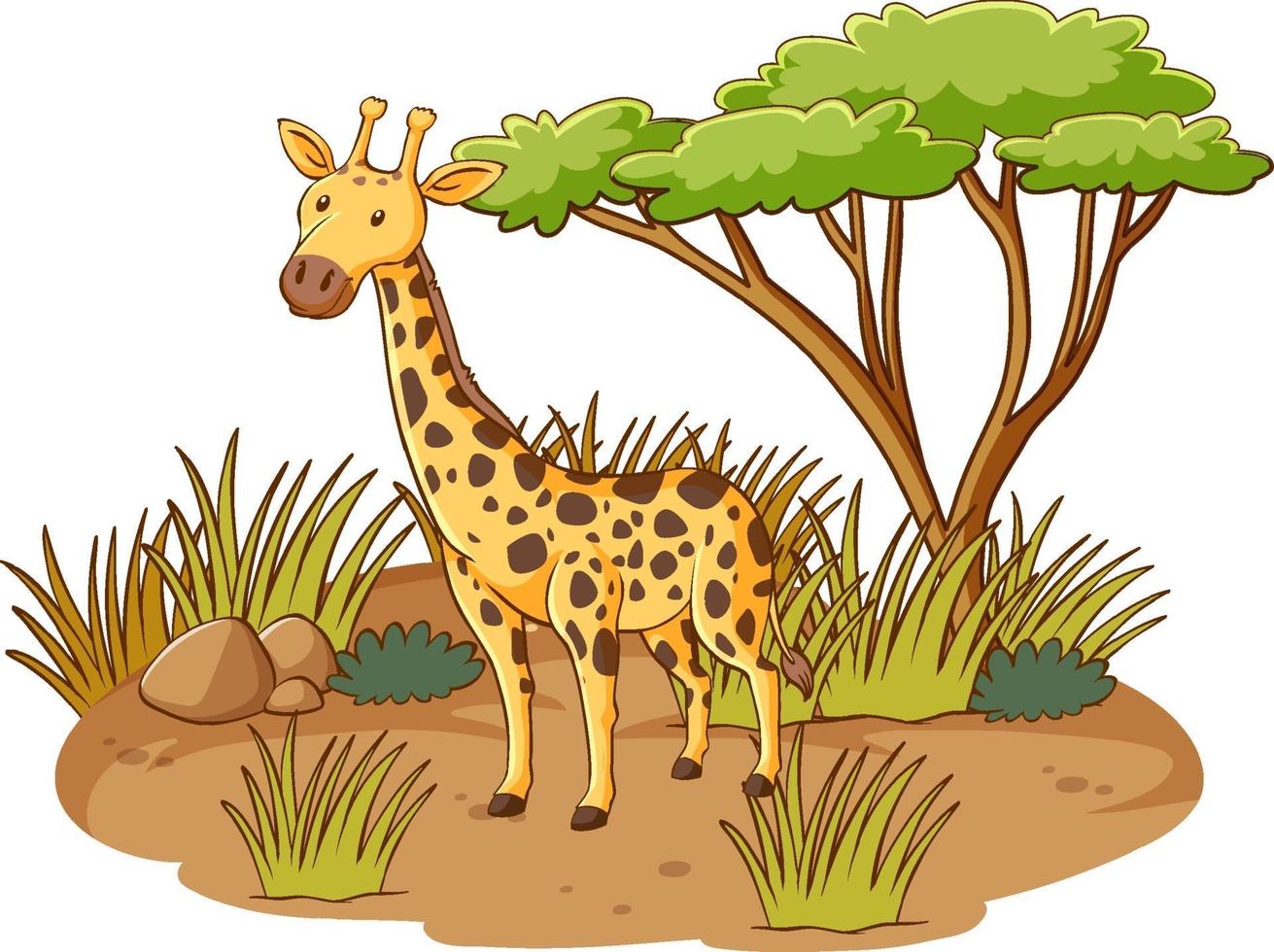 Giraffe in savannah forest on white background vector