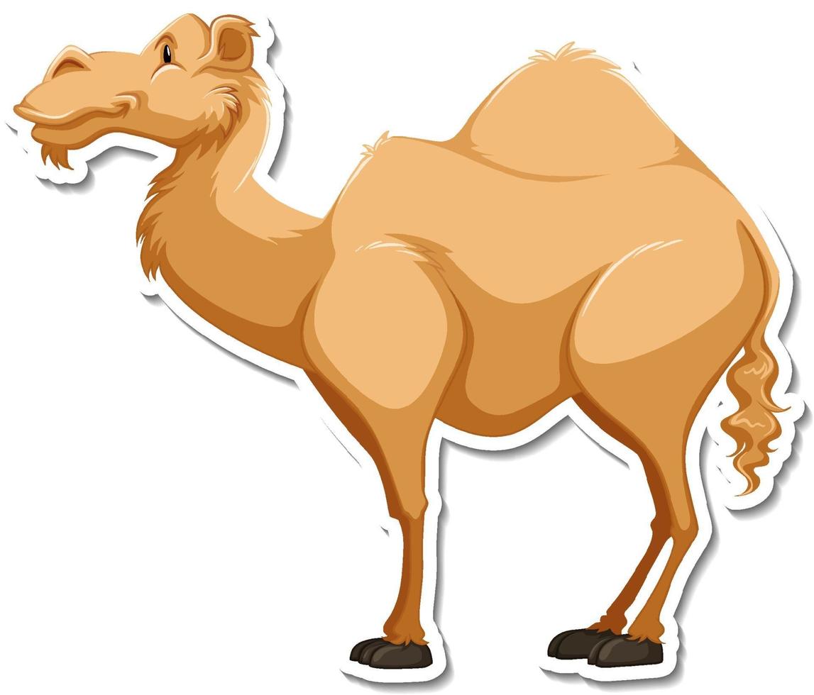 A sticker template of camel cartoon character vector