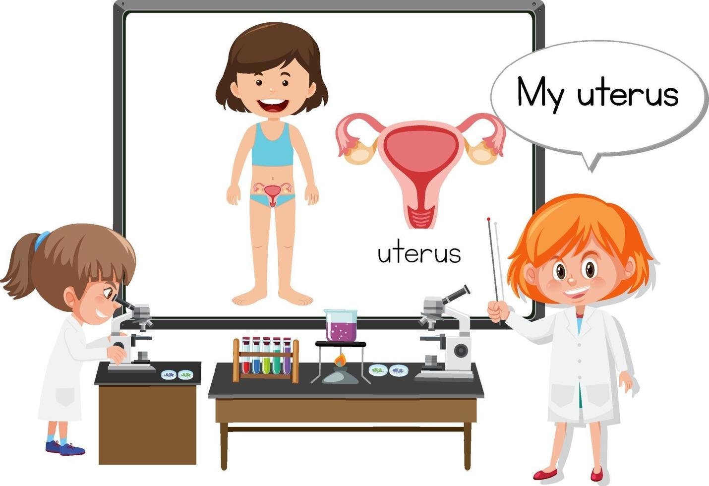 Young doctor explaining uterus anatomy vector