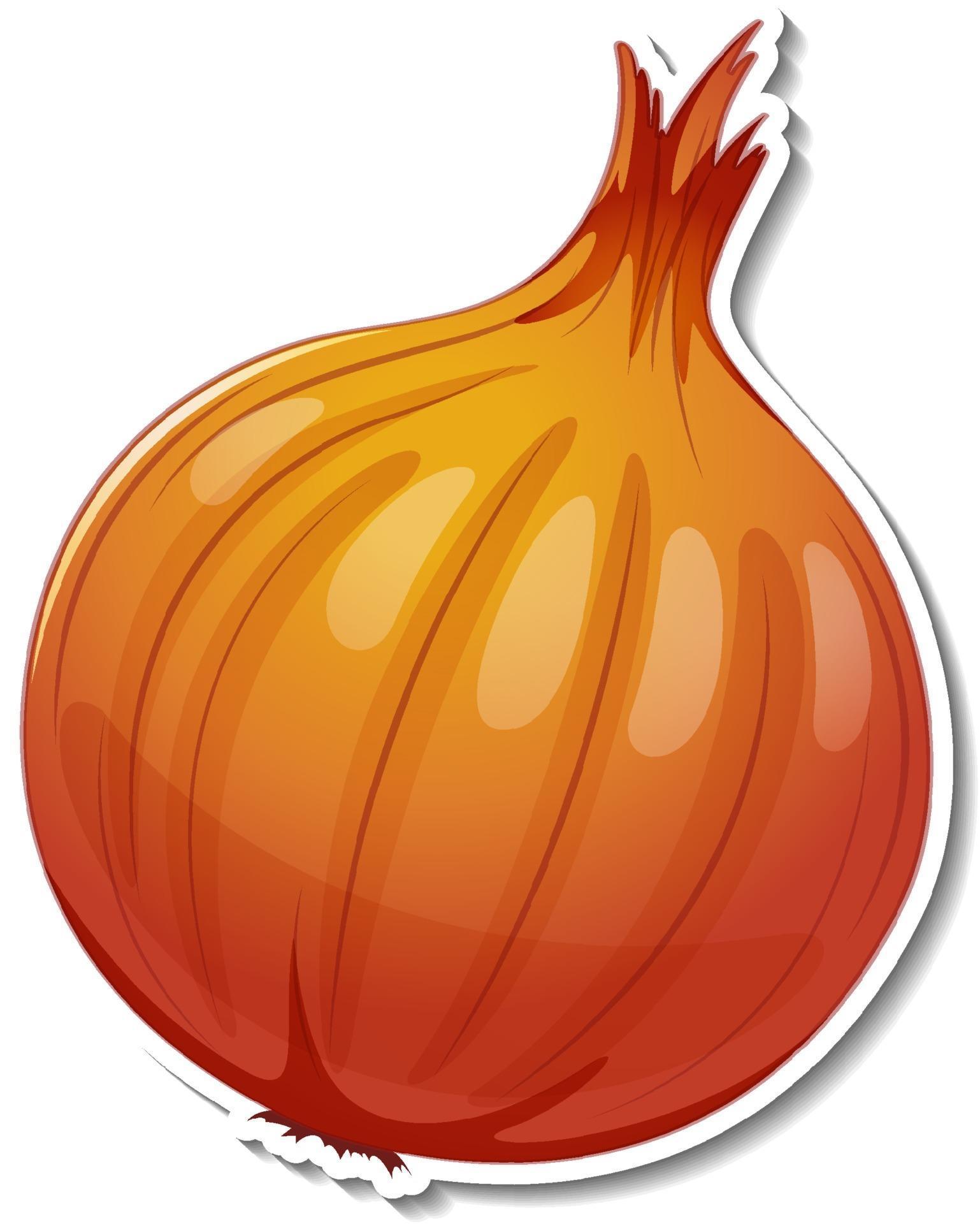 Onion sticker on white background 3304156 Vector Art at Vecteezy