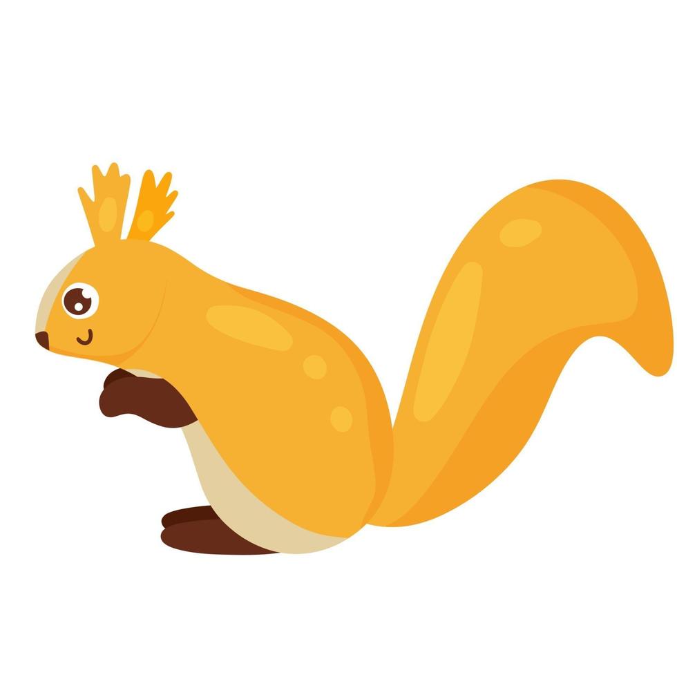 Squirrel. Forest animal. Vector cartoon style. Isolated