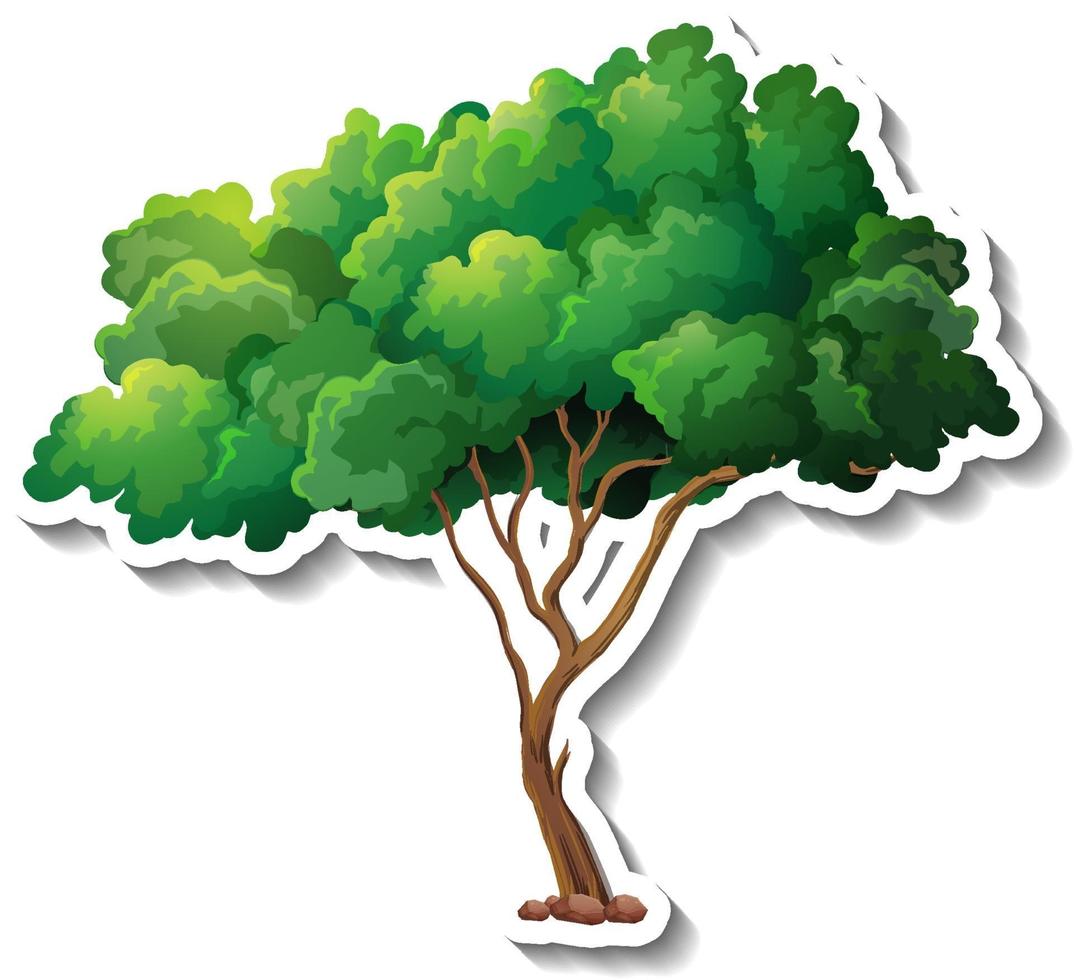 Un árbol con adhesivo de hojas verdes sobre fondo blanco. vector