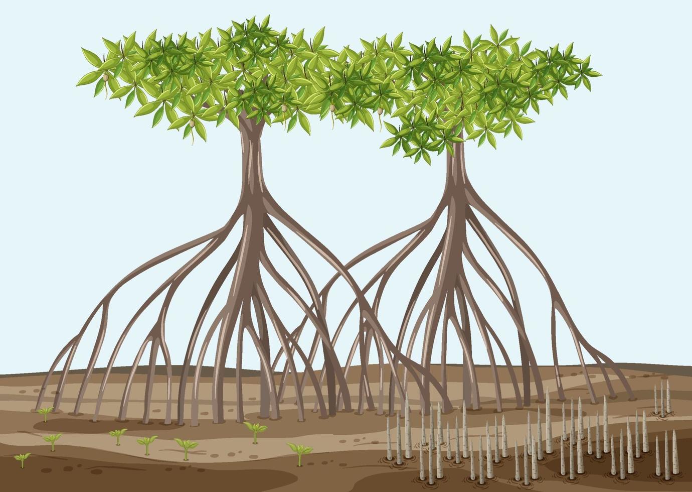 escena con árboles de mangle en estilo de dibujos animados vector