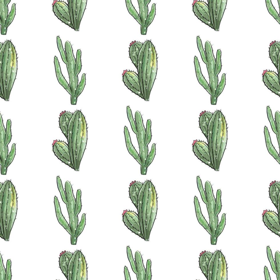 Cactus seamless pattern. vector