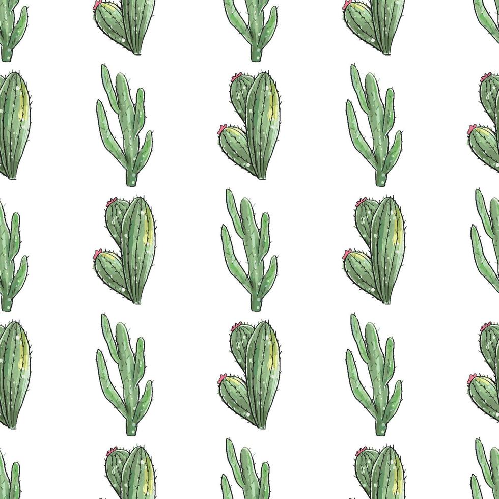 Cactus seamless pattern. vector