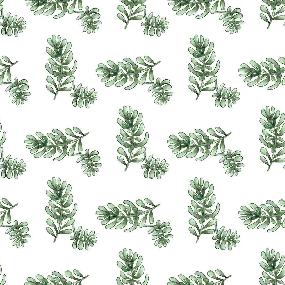 Cactus seamless pattern. vector