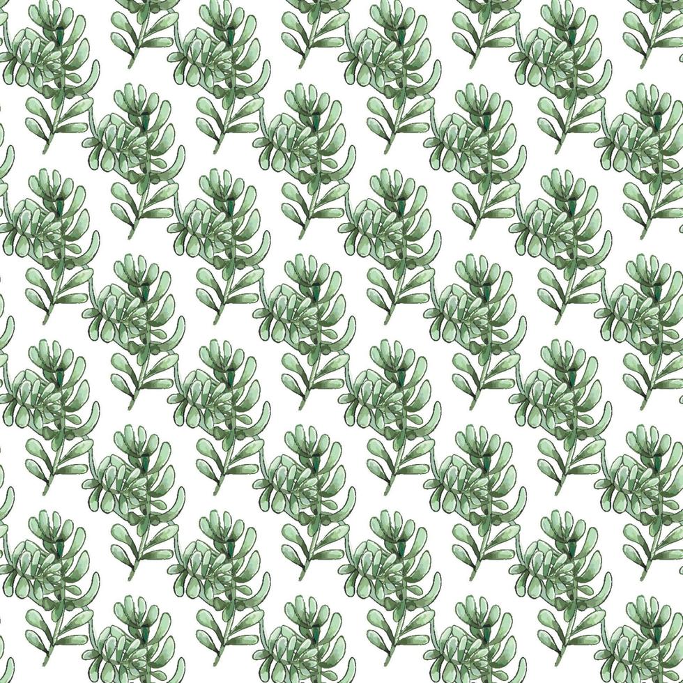 Cactus seamless pattern. vector