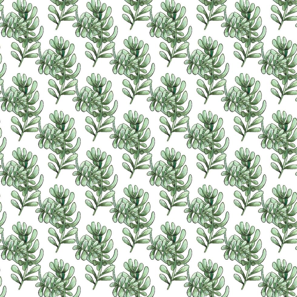 Cactus seamless pattern. vector