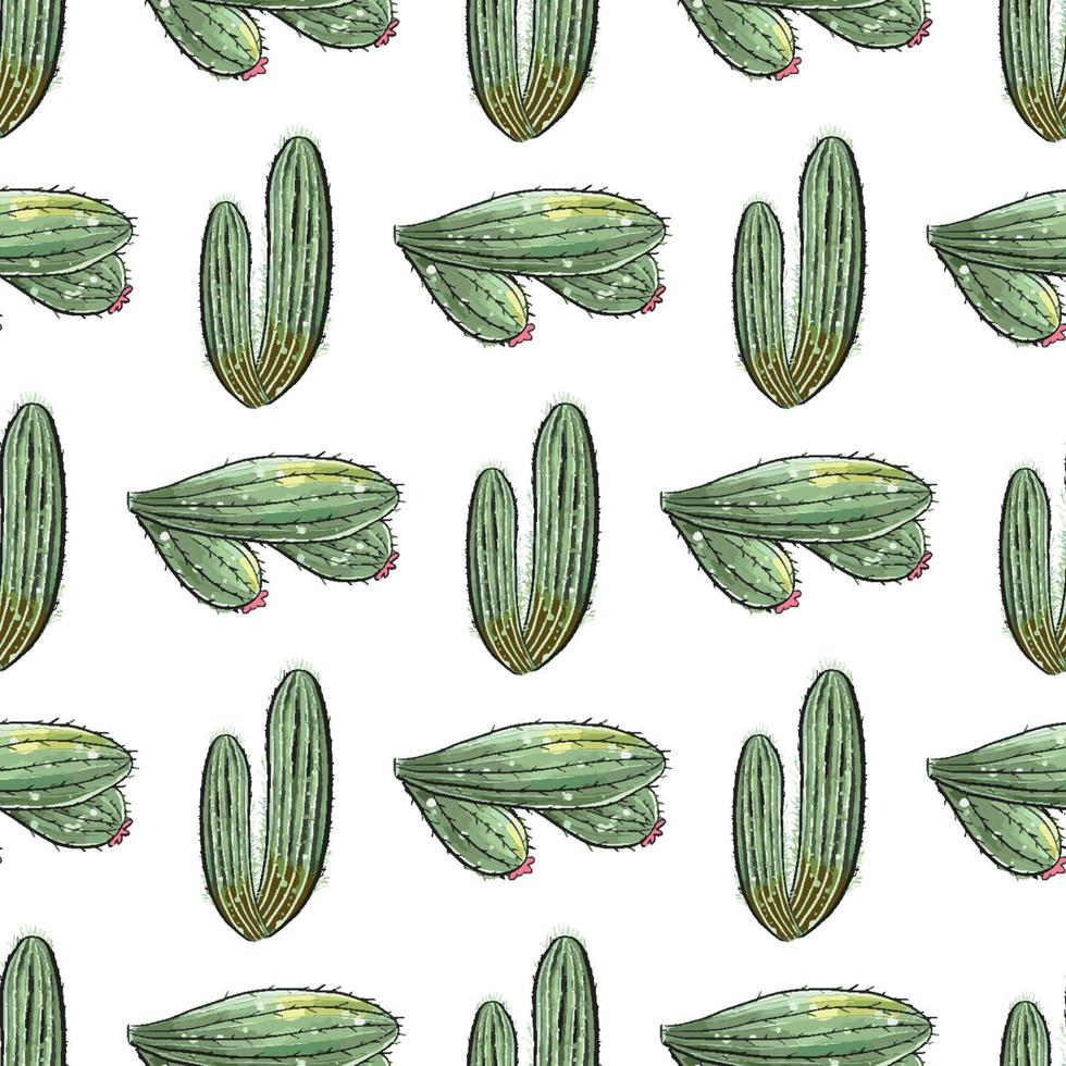 Cactus seamless pattern. vector