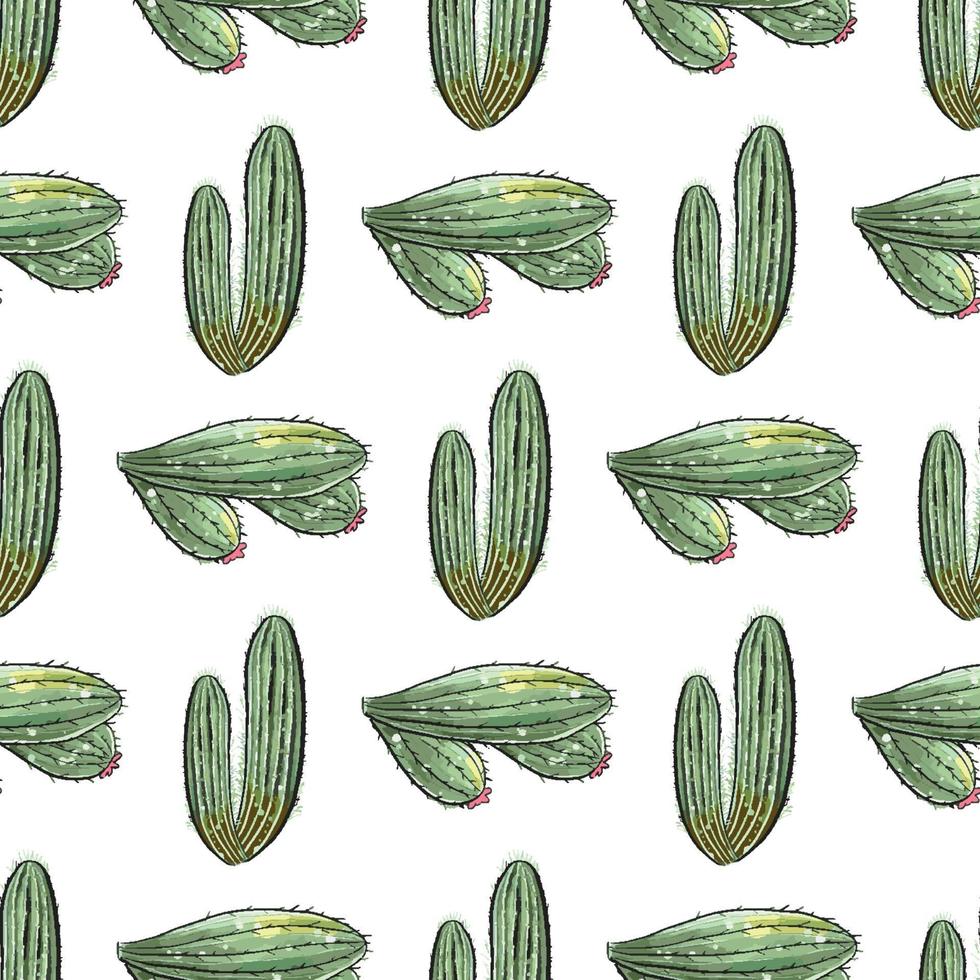 Cactus seamless pattern. vector