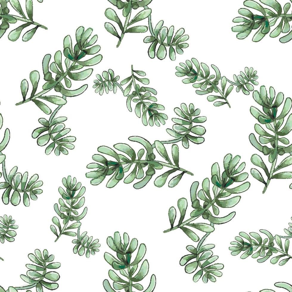 Cactus seamless pattern. vector